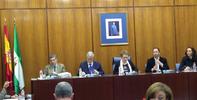 El DPA debate el Informe Especial de la situación de los Enfermos Mentales en Andalucía en el Parlamento