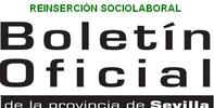 Convocatoria extraordinaria de subvenciones para la atención y la reinserción sociolaboral de colectivos vulnerables 2013, Ayuntamiento de Sevilla.