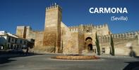 Visita a la Comarca Campiña de Carmona (Sevilla)