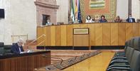 Más de 5.000 actuaciones en el Defensor del Pueblo andaluz a causa de la COVID-19 