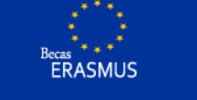 Sugerencias para la mejora en la gestión del programa Erasmus