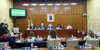 El Defensor del Pueblo Andaluz llama la atención sobre la falta de políticas de movilidad sostenible y de participación de la ciudadanía en la toma de decisiones