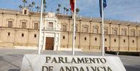 11 h: Intervención sobre Proyecto de Ley de Participación Ciudadana. Parlamento de Andalucía