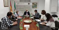 El Defensor del Pueblo andaluz aboga por un proceso ordenado y planificado de las energías renovables