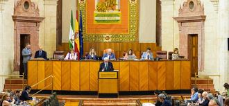El Defensor del Pueblo andaluz alerta en el Pleno del Parlamento de los retrasos en dependencia y salud
