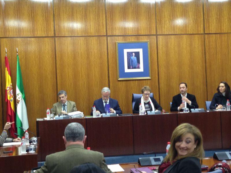 El DPA debate el Informe Especial de la situación de los Enfermos Mentales en Andalucía en el Parlamento El DPA debate el Informe Especial de la situación de los Enfermos Mentales en Andalucía en el Parlamento
