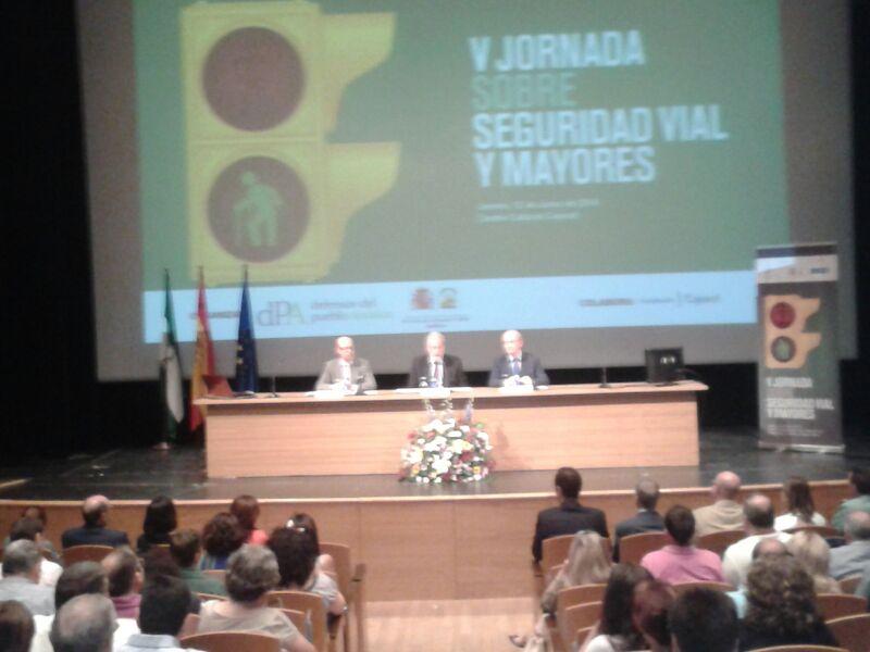 V Jornadas Seguridad Vial y Mayores V Jornadas Seguridad Vial y Mayores