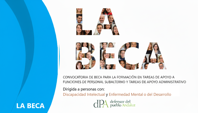 Becas 2026 destinada a persona con discapacidad psíquica, del tipo enfermedad mental,  y otra a persona con discapacidad psíquica, del tipo discapacidad intelectual o del desarrollo