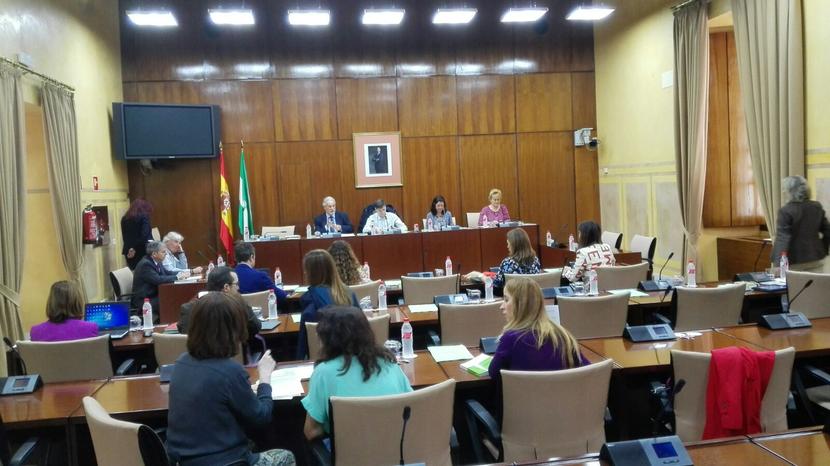 El Defensor del Pueblo Andaluz demanda que el derecho al agua no quede limitado por circunstancias económicas