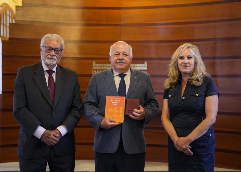 El Defensor de la Infancia de Andalucía reclama medidas para cuantificar, prevenir y detectar situaciones de riesgo para los niños y niñas El Defensor de la Infancia de Andalucía reclama medidas para cuantificar, prevenir y detectar situaciones de riesgo para los niños y niñas