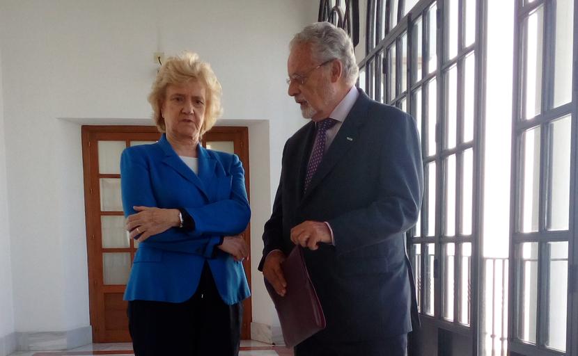 Protección de menores extranjeros que llegan a Andalucía acompañados, posibles víctimas de trata 