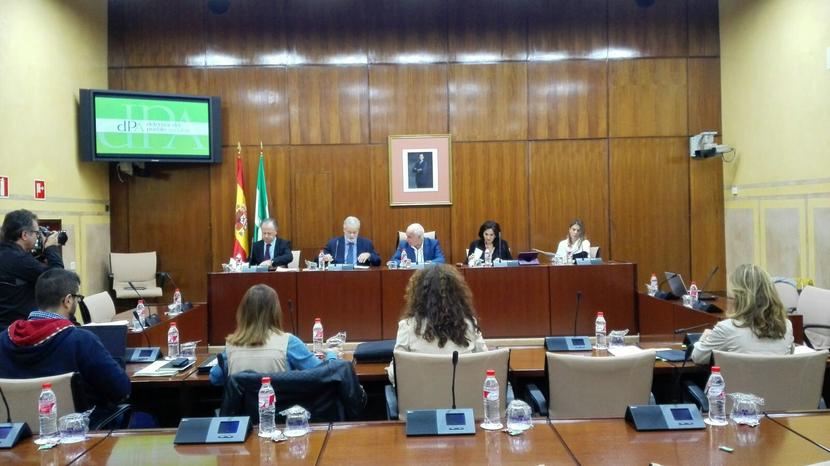 El Defensor del Pueblo Andaluz llama la atención sobre la falta de políticas de movilidad sostenible y de participación de la ciudadanía en la toma de decisiones