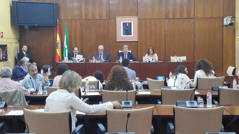 El Defensor del Pueblo Andaluz pide en el Parlamento la mejora de la asistencia sanitaria de la población reclusa El Defensor del Pueblo Andaluz pide en el Parlamento la mejora de la asistencia sanitaria de la población reclusa