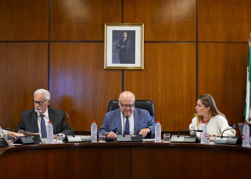 Dos de cada tres actuaciones del Defensor del Pueblo andaluz en defensa de la dignidad de las personas pertenecen a colectivos vulnerables Dos de cada tres actuaciones del Defensor del Pueblo andaluz en defensa de la dignidad de las personas pertenecen a colectivos vulnerables