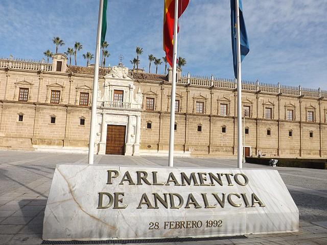 11 h: Intervención sobre Proyecto de Ley de Participación Ciudadana. Parlamento de Andalucía