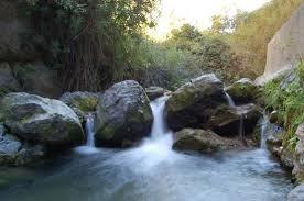 Le preguntamos al Ayuntamiento de Armilla por la acumulación de basura en el margen del río Monachil 